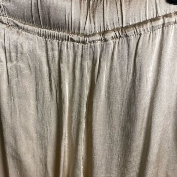 #317 ZARA Satin Champagne Pants - Picture 6 of 9